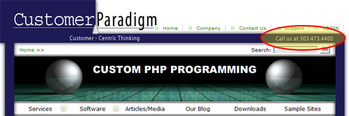 Customer Paradigm Website screenshot showing phone number