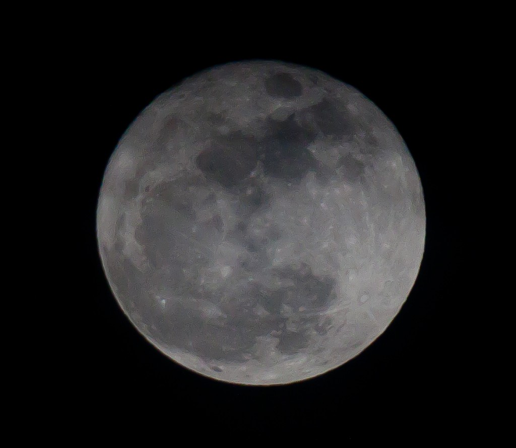 Super Moon - March 19, 2011 from Boulder, Colorado